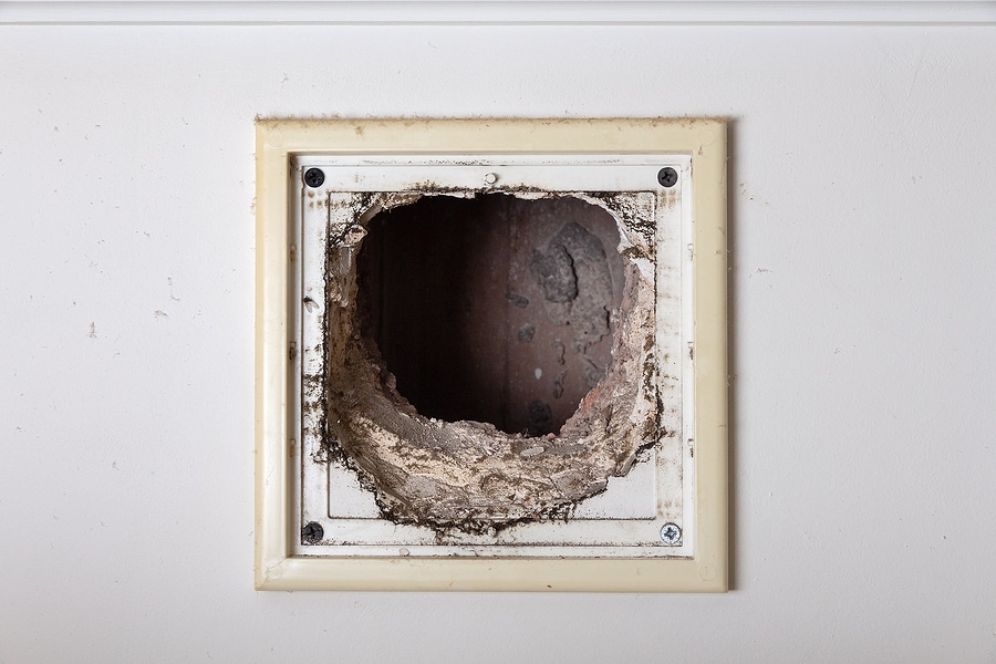 3 Things That Could Be Lurking in Your Air Ducts